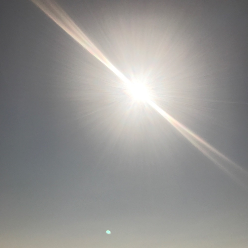 Meet your Posher, Lindsay